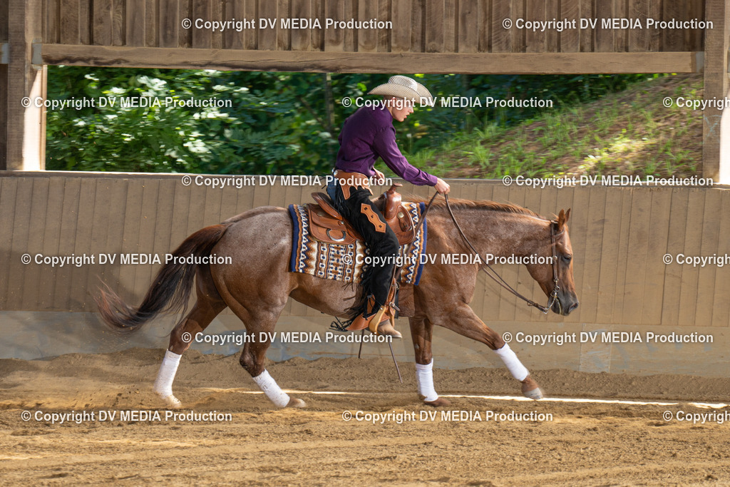 DSC00438 | dv-media-shop - Realisiert mit Pictrs.com