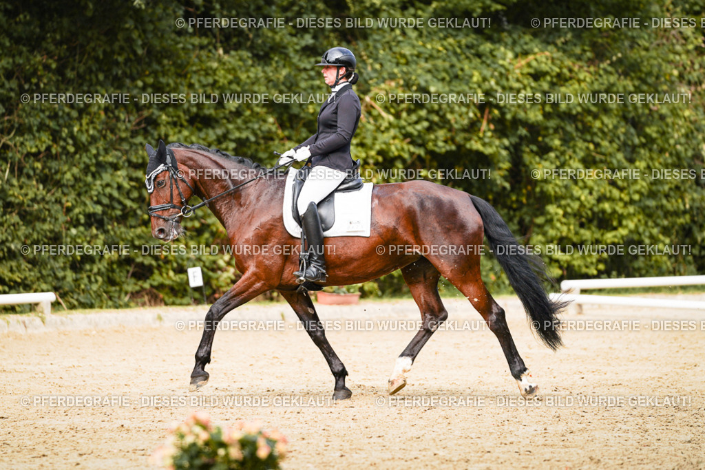 DSC03466 | Pferdegrafie