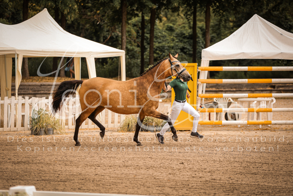 07.So00027 | Leoni Ertmer Photography - Realisiert mit Pictrs.com