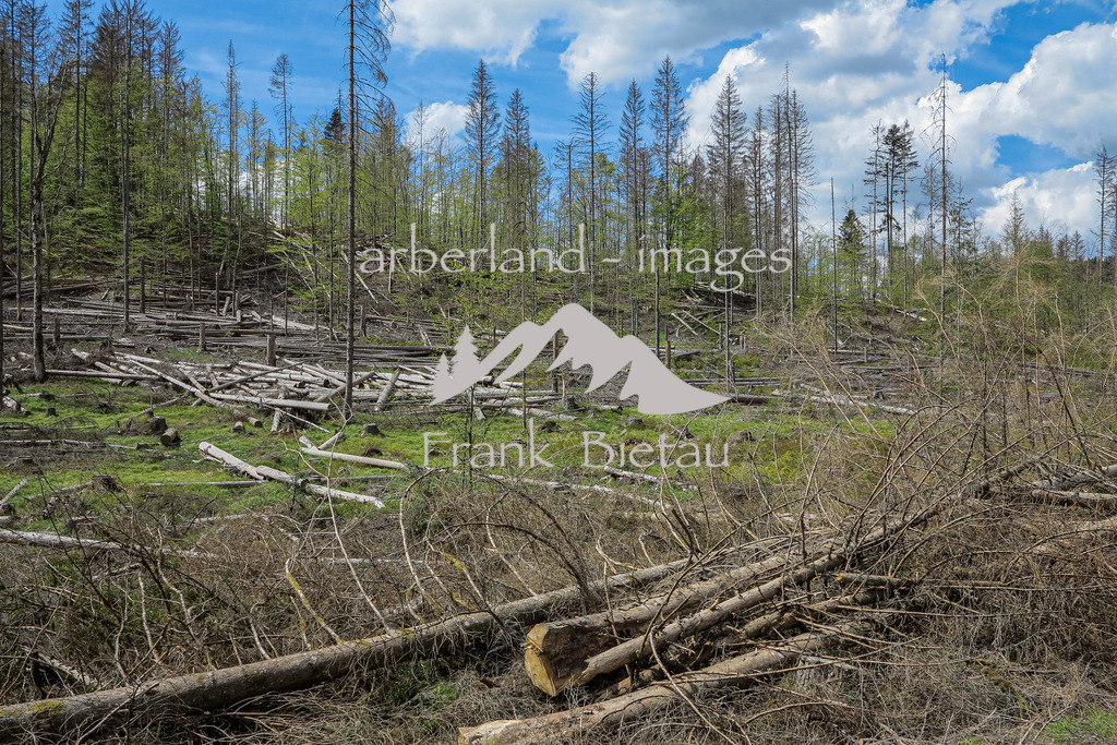 IMG_1972 | Medien- Sport- Entertainmentfotos