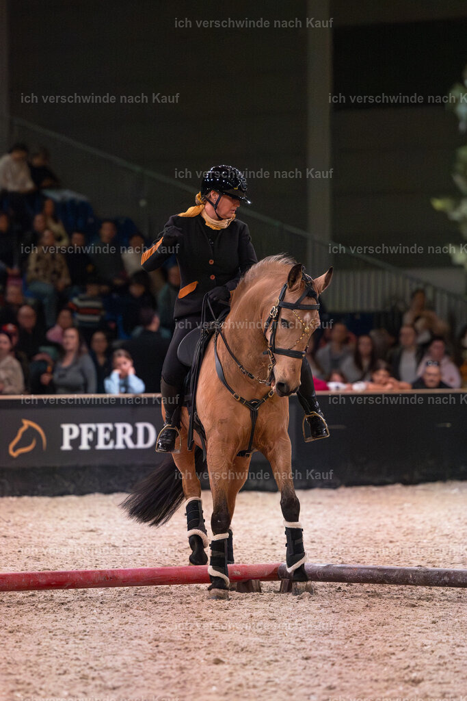 JoseraCup-131 | working equitationturnier fotograf videograf stoibphotography marixx film working equitation deutschland reitsport turnierfotografie eventfotografie equestrian events