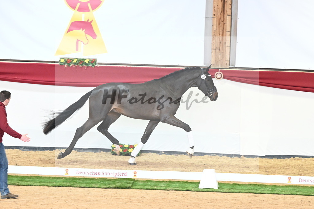 Kat.-Nr. 60 v. Raven_Klakow_2240753 | hf-fotografie - Realisiert mit Pictrs.com