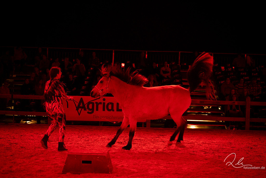 846A6503 | fotosleben - Realisiert mit Pictrs.com