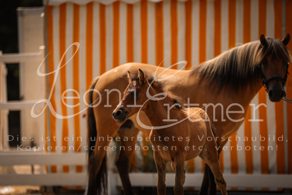 02.DoSR00091 | Leoni Ertmer Photography - Realisiert mit Pictrs.com