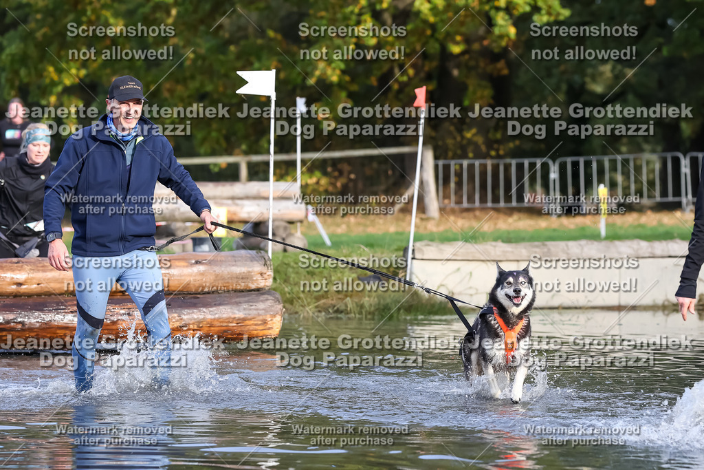 Dog Paparazzi - Strongdog 10-25-7042 | Dog Paparazzi Jeanette Grottendiek Fotografie & Videografie - Realisiert mit Pictrs.com