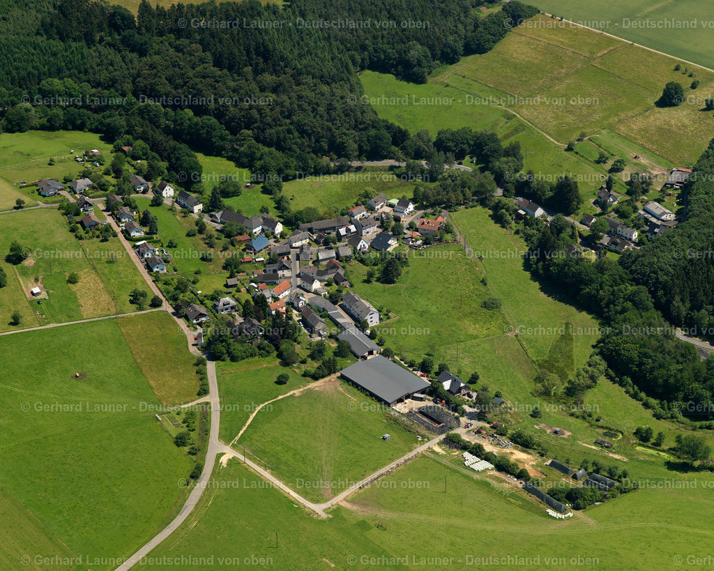 3120402 | Niederdreis