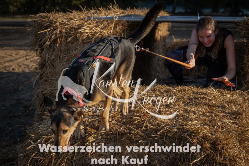 0929_ZZ93163 | kk-dogfotos