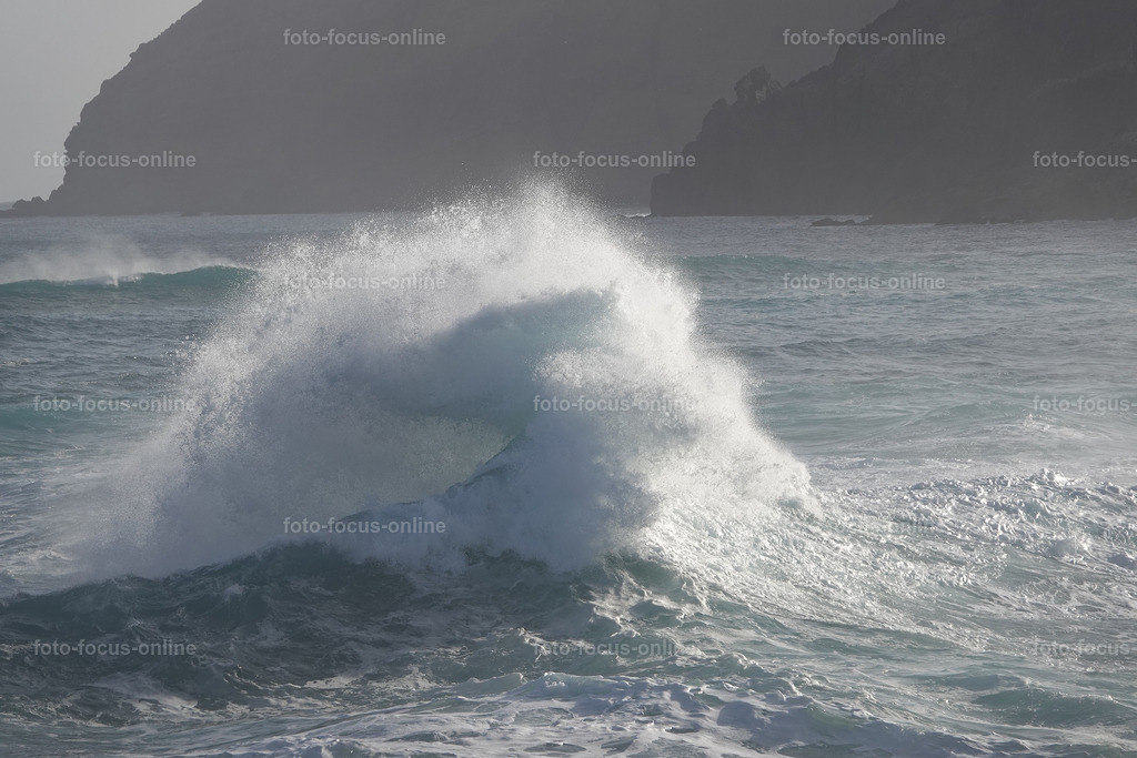 Wild Waves | Wild Waves Atlantic