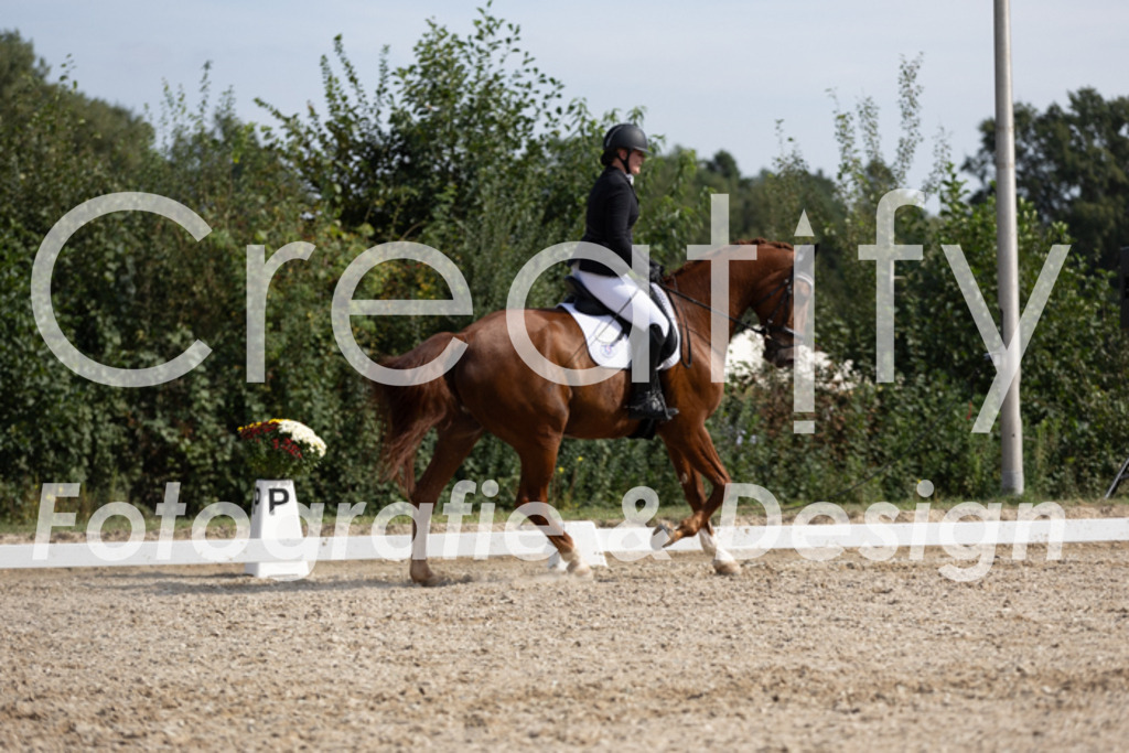 IMG_4005 | Creatify Fotografie