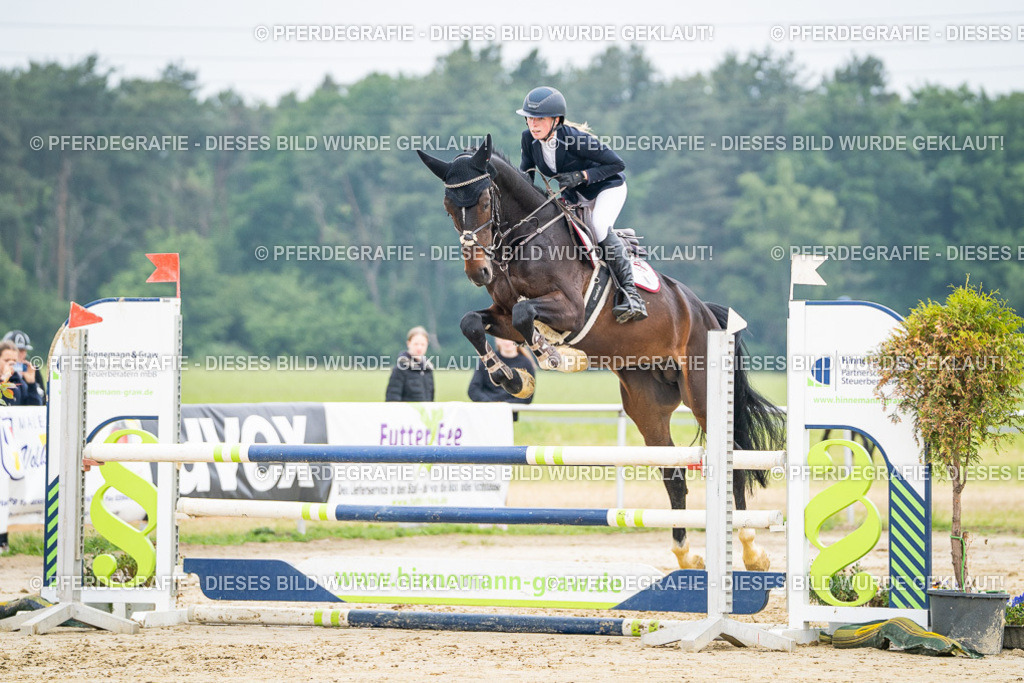 DSC00141 | Pferdegrafie