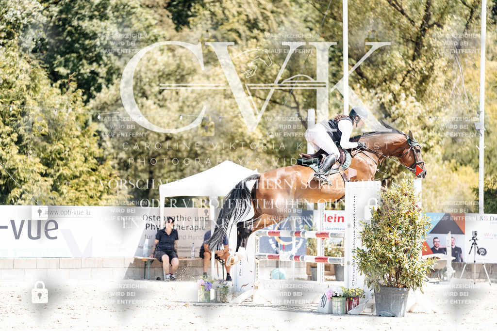 CK900296 | Turnierfotografie Pferdefotografie Trier Rheinland-Pfalz Pferdesport Reitsport Tierfotografie Sportfotografie Pferdevideo Pferdevideografie Equestrianvideography equestrianphotography  - Realisiert mit Pictrs.com