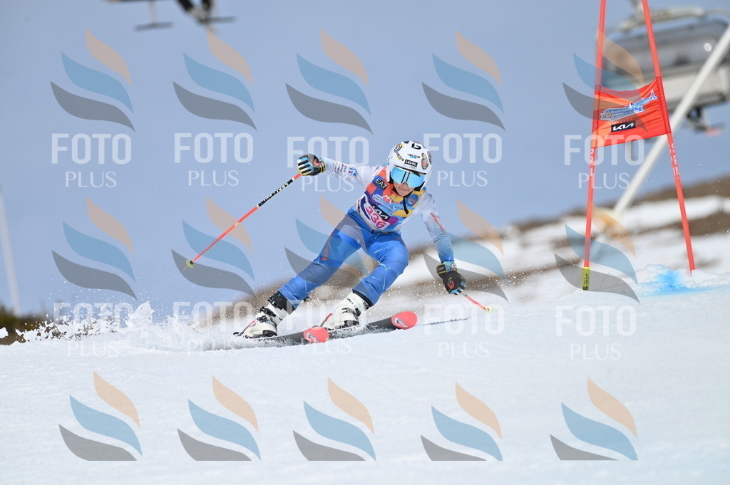 BGV_1612 | holidayphoto