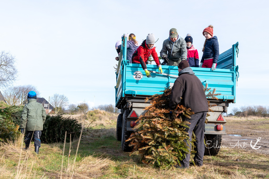 EAF_1964 | Eilun-Art-Fotografie Levke Martens, ihre Fotografin für Immobilien- und Landschaftsfotografie auf Föhr, Föhrer Motive als Poster, Leinwand, hinter Acrylglas oder stelle dir deinen eigenen Monatskalender zusammen, mit nur einem Klick