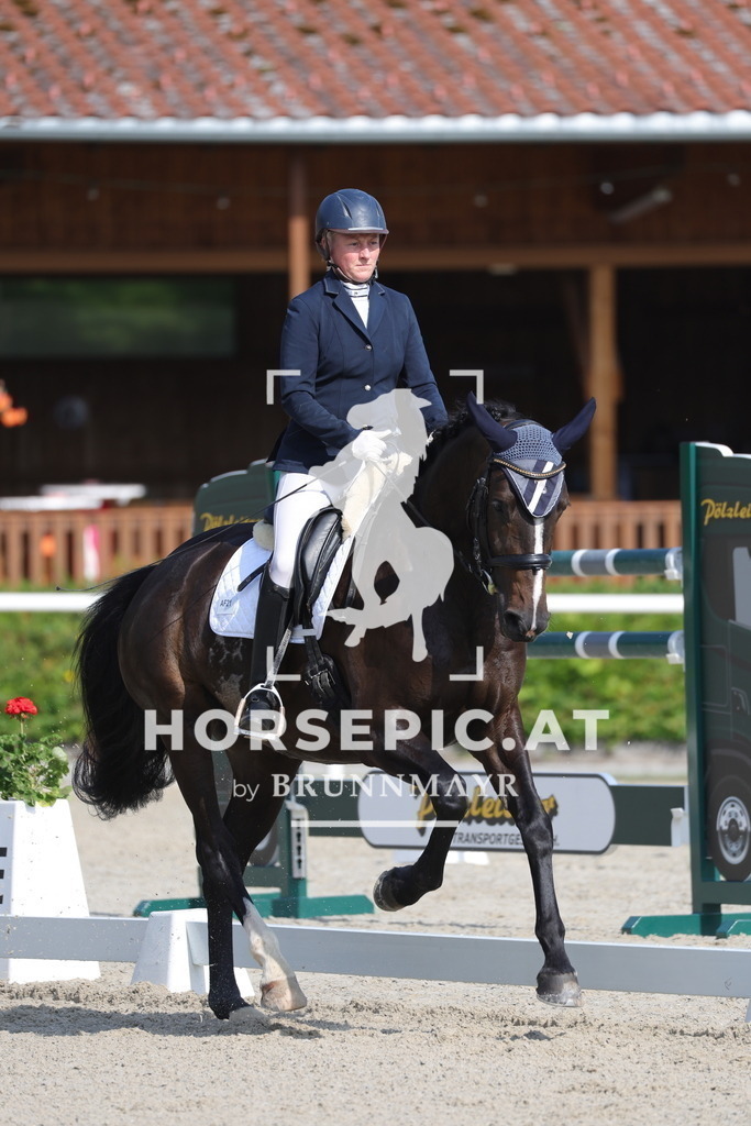 0P6A4554 | Willkommen bei Brunnmayr - Design & Fotografie – Ihrem Spezialisten für Reitturniere und Pferdeveranstaltungen in Oberösterreich, Salzburg und Bayern! Seit über 17 Jahren sind wir leidenschaftlich dabei.