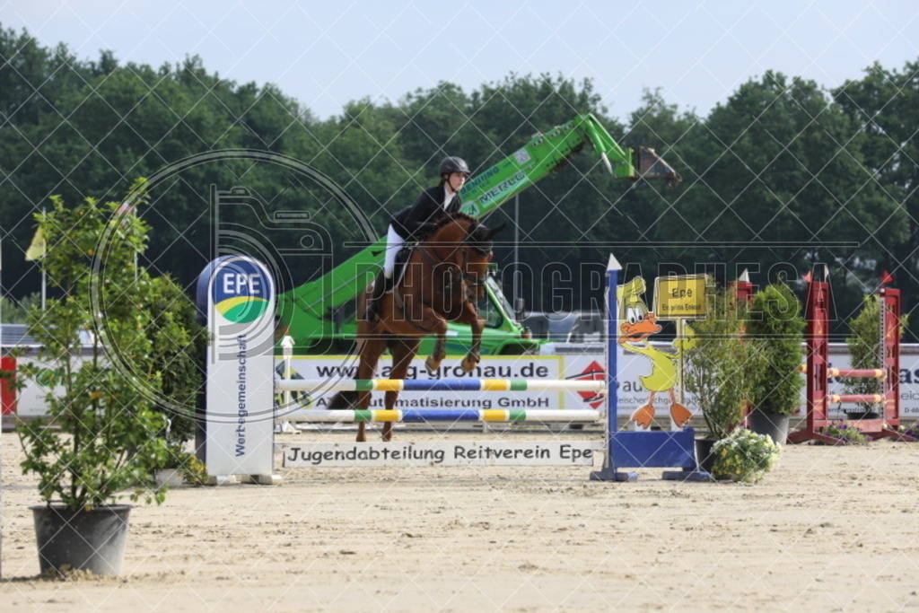 IMG_6222 | photographesa-joergens - Realisiert mit Pictrs.com