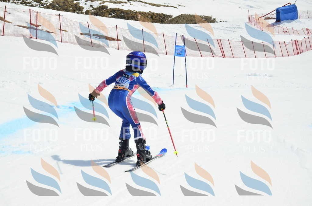 _ELE1280 | holidayphoto