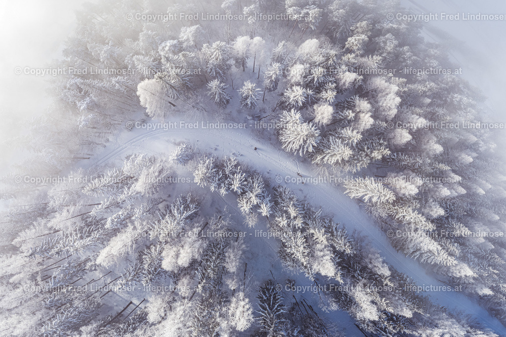 Wald von oben | Winterfoto bürgeralpe - Realisiert mit Pictrs.com