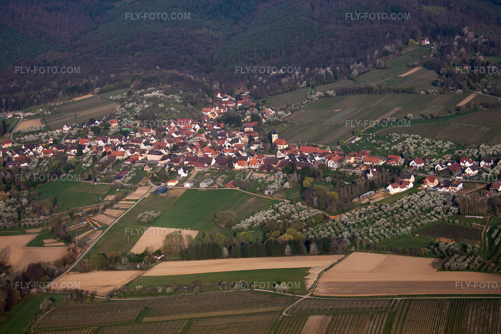 Aerial view: View of the town in Rott in the state Bas-Rhin, France.Photo: IMG_63661.jpg taken on 03/30/2014 by Werner Riehm/FLY-FOTO.comResolution of the original: 4752 x 3168 px