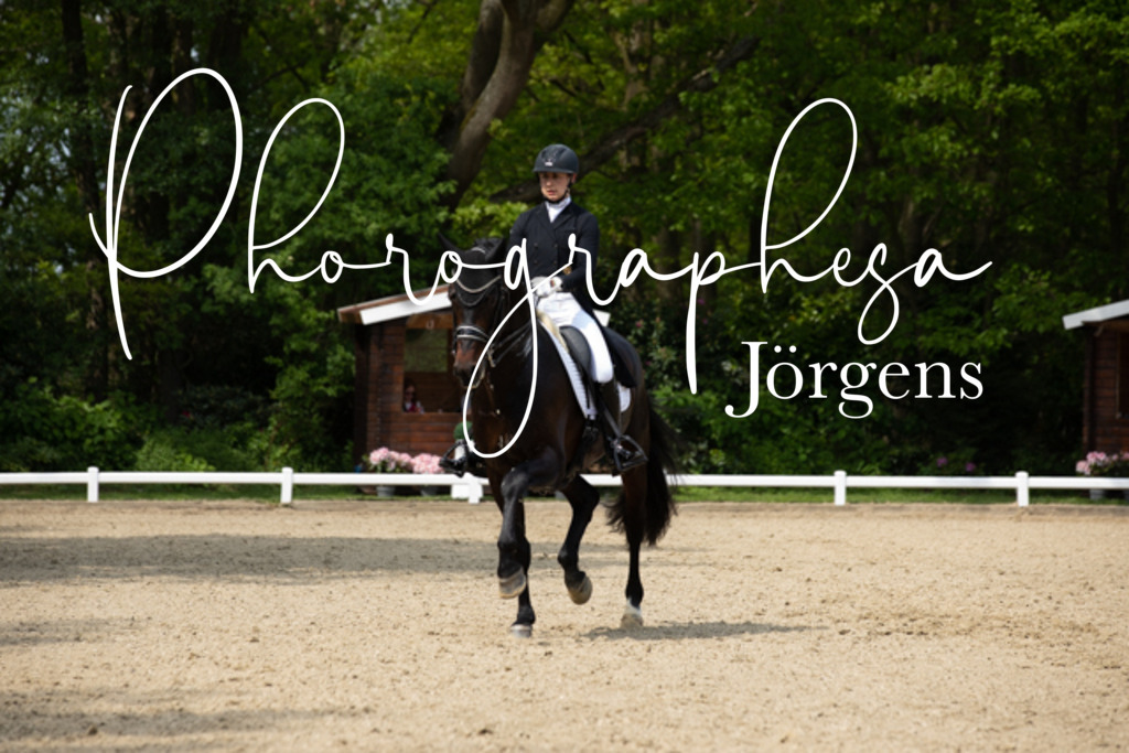 IMG_2101 | photographesa-joergens - Realisiert mit Pictrs.com