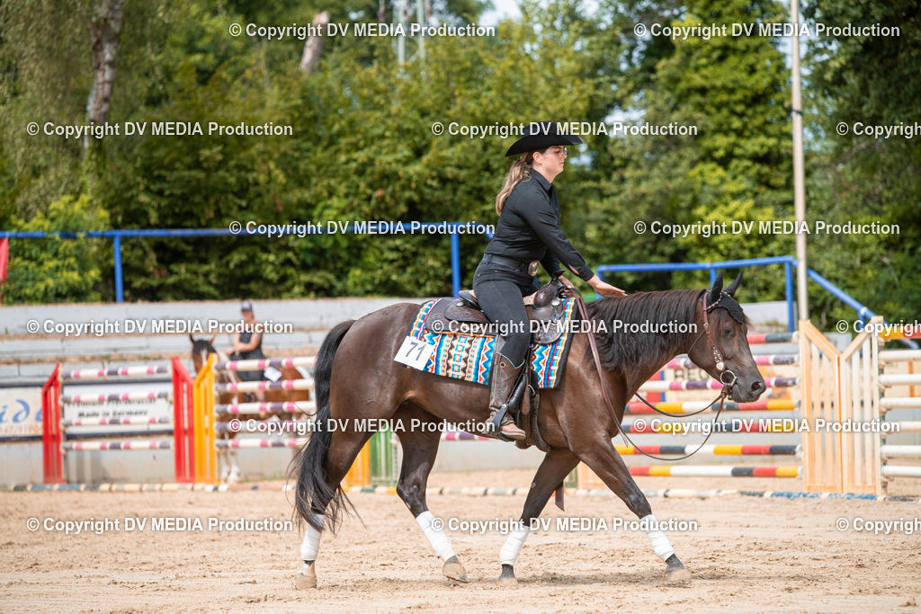 ZS3_9502 | dv-media-shop - Realisiert mit Pictrs.com