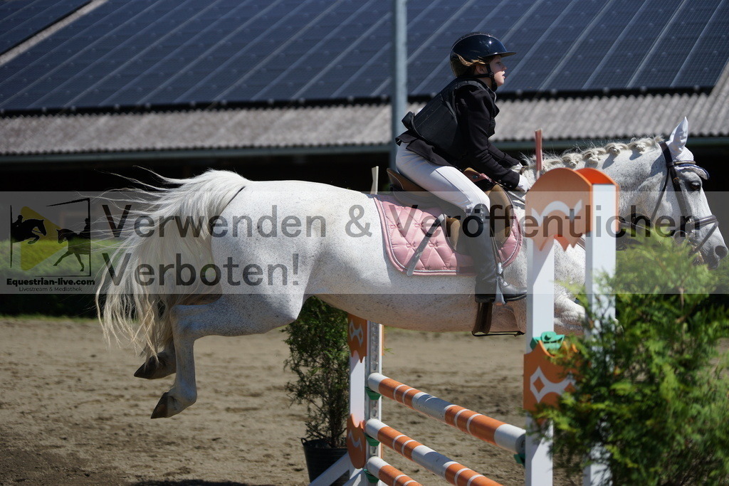 DSC05965 | equestrian-live-com