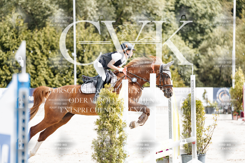 CK906554 | Turnierfotografie Pferdefotografie Trier Rheinland-Pfalz Pferdesport Reitsport Tierfotografie Sportfotografie Pferdevideo Pferdevideografie Equestrianvideography equestrianphotography  - Realisiert mit Pictrs.com