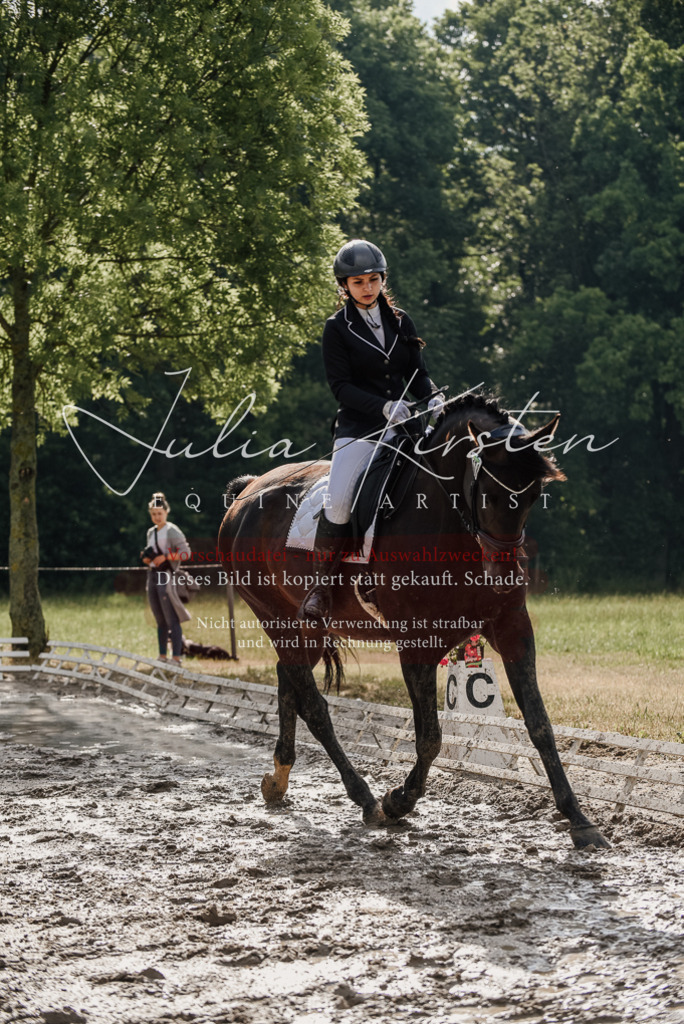 DSC_8605 | Pferde- und Turnierfotografie in Westsachsen. Pferdeportraits, Auftragszeichnungen und intuitive Kunst.