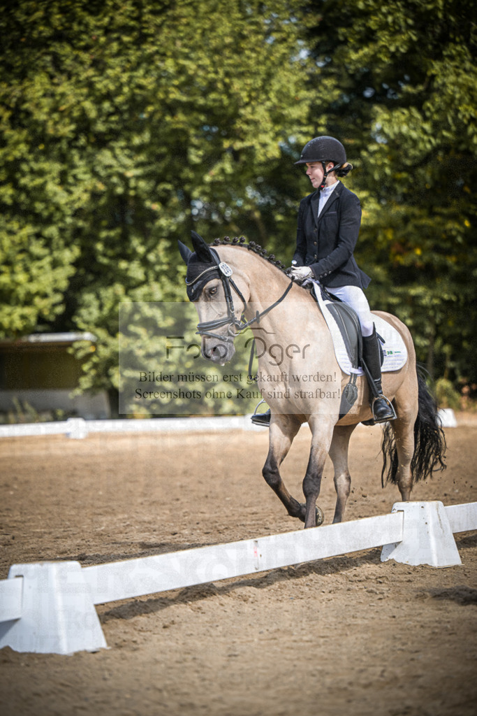 DOS_0730 | Entdecke hochwertige Reitturnierfotos von Foto Oger. Professionell, emotional und authentisch – jetzt Lieblingsmomente im Shop bestellen.Deutschlandweite Turnierfotografie. - Realisiert mit Pictrs.com