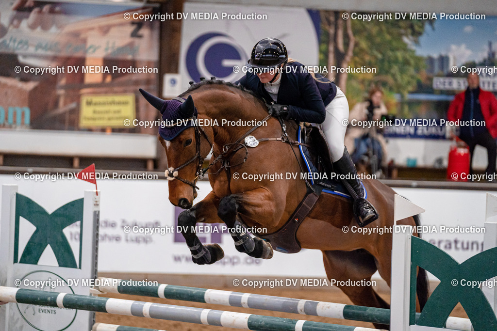 Kranichstein Tag 2-788 | dv-media-shop - Realisiert mit Pictrs.com