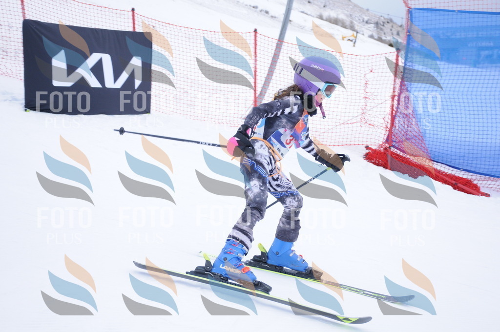 DSC_7834 | holidayphoto