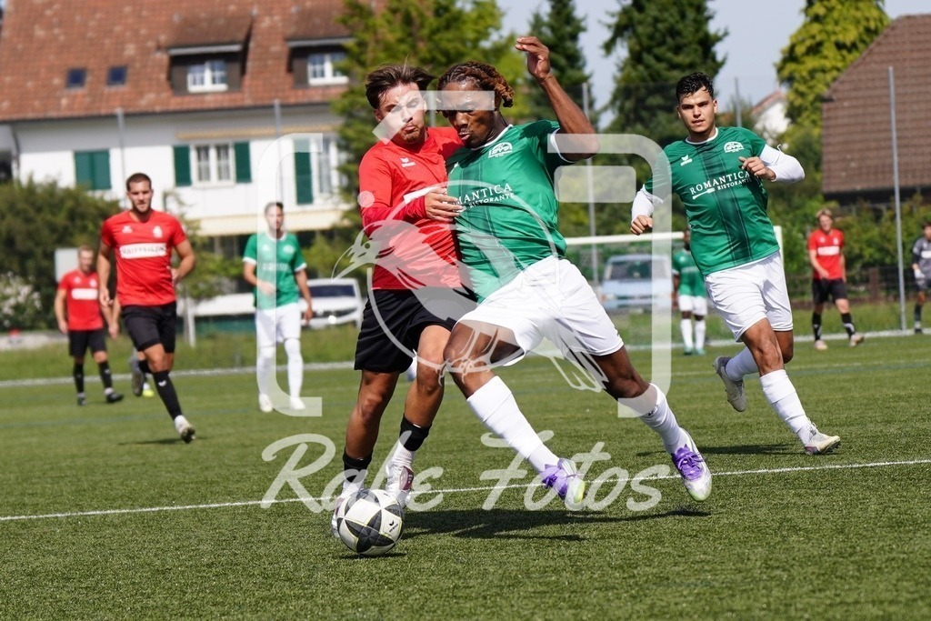 SON07885 | rabefotos