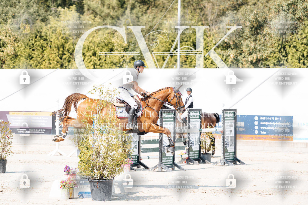 CK901459 | Turnierfotografie Pferdefotografie Trier Rheinland-Pfalz Pferdesport Reitsport Tierfotografie Sportfotografie Pferdevideo Pferdevideografie Equestrianvideography equestrianphotography  - Realisiert mit Pictrs.com