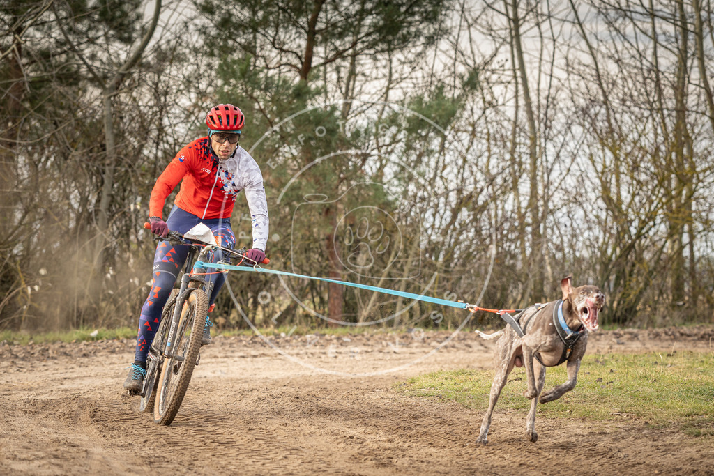 Pfotenfotografie_DV3A7165 | Hundefotografie, Tierfotograf, Pfotenfotografie, Fotoshooting Hund, Hunde Portrait, Hundesport, Hundeportraits, Heideshooting, Hunde, Sportfotograf, Hundefotograf, Turnierhundsport, THS,  - Realisiert mit Pictrs.com