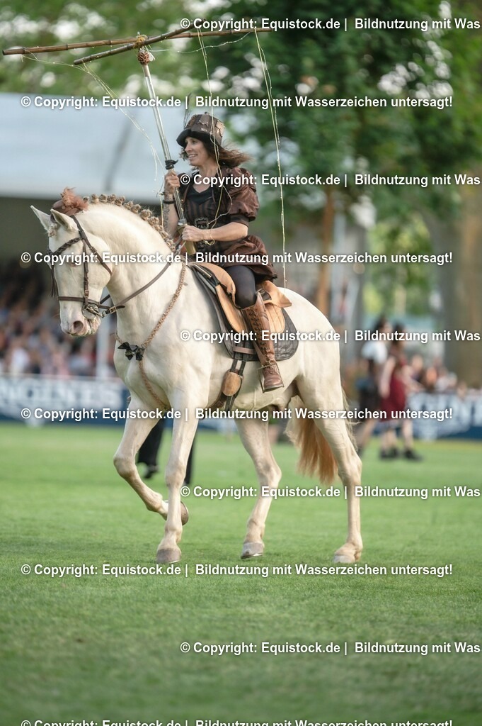 20230526_Pferdenacht_0277 | equistock