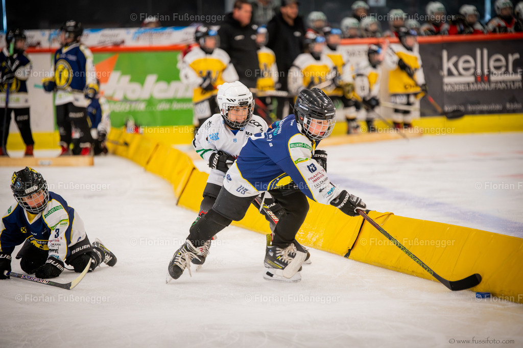 DSC_2192 | "Fussifoto.com – Ihr Ansprechpartner für hochwertige Fotografie! Entdecken Sie kreative Bilder und professionelle Dienstleistungen. Kontaktieren Sie uns für Ihre Projekte!"