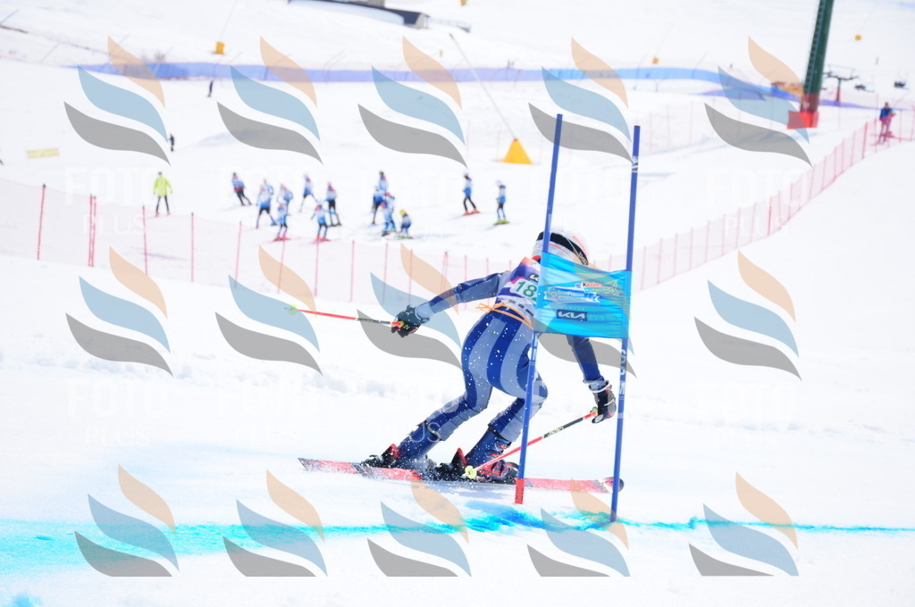 DSC_1617 | holidayphoto