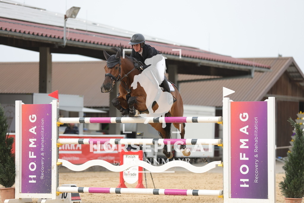 0P6A7513 | Willkommen bei Brunnmayr - Design & Fotografie – Ihrem Spezialisten für Reitturniere und Pferdeveranstaltungen in Oberösterreich, Salzburg und Bayern! Seit über 17 Jahren sind wir leidenschaftlich dabei.