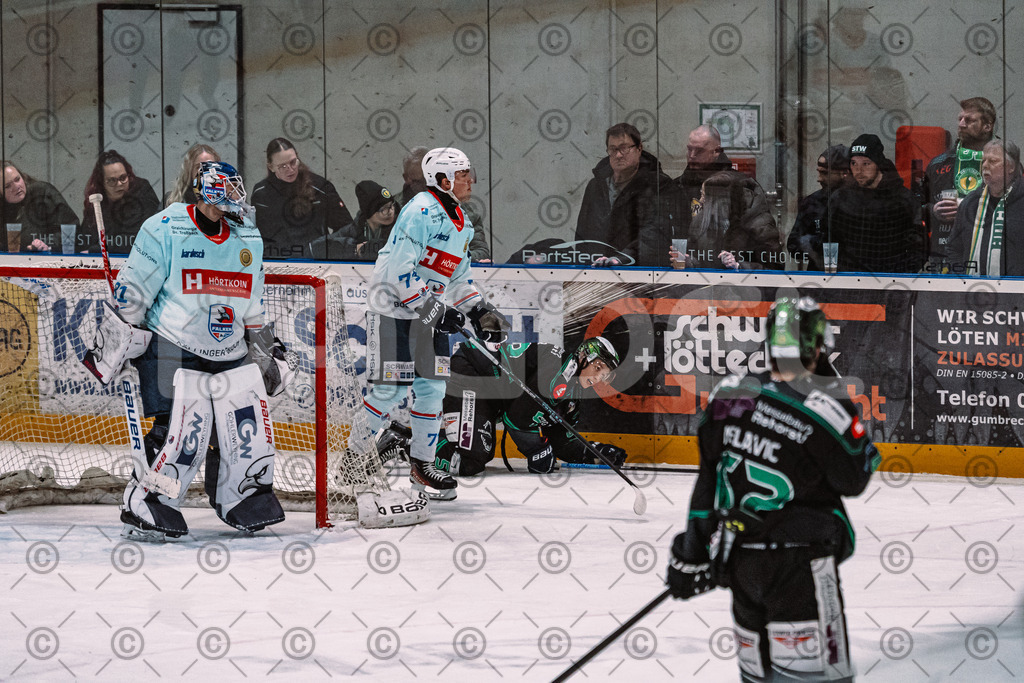 Alligators_vs_Heilbronn_08_02_2026-23 | Höchstadt Alligators Fotogalerie: Eishockey-Action aus Franken. Professionelle Spielfotos, Portraits & Stadionbilder zum Download. Jetzt entdecken! - Realisiert mit Pictrs.com