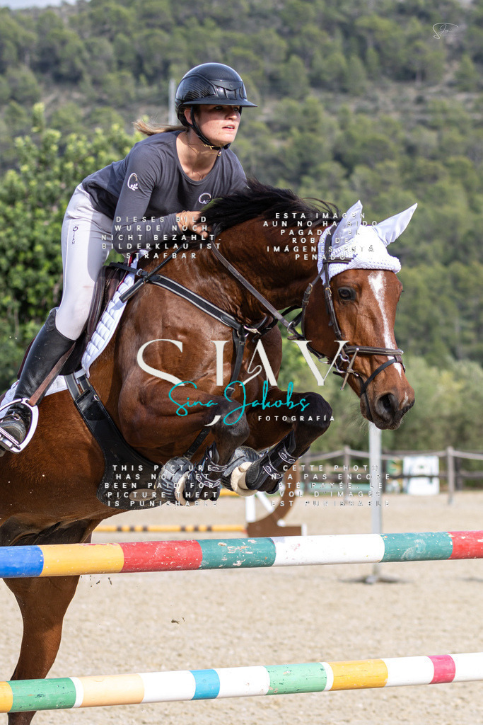 IMG_4206 | s-jay-photography - Realisiert mit Pictrs.com