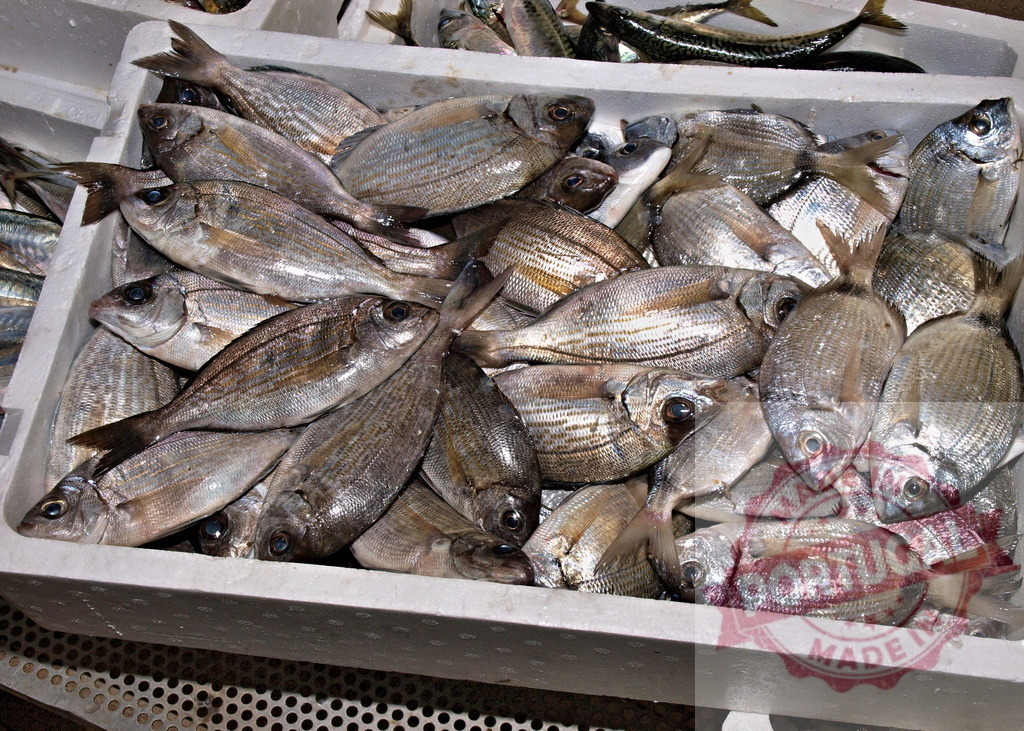 Fresh fish selling at a seafood market stall | Freshly caught fish piled together in a white styrofoam box for sale - Realisiert mit Pictrs.com