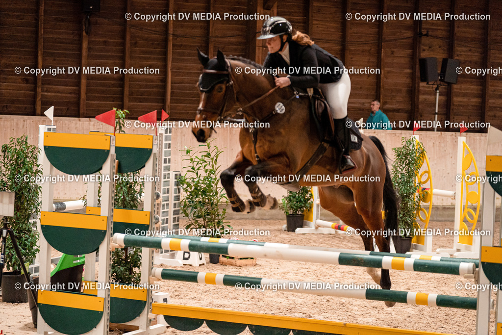 Springen Tag 2-503 | dv-media-shop - Realisiert mit Pictrs.com