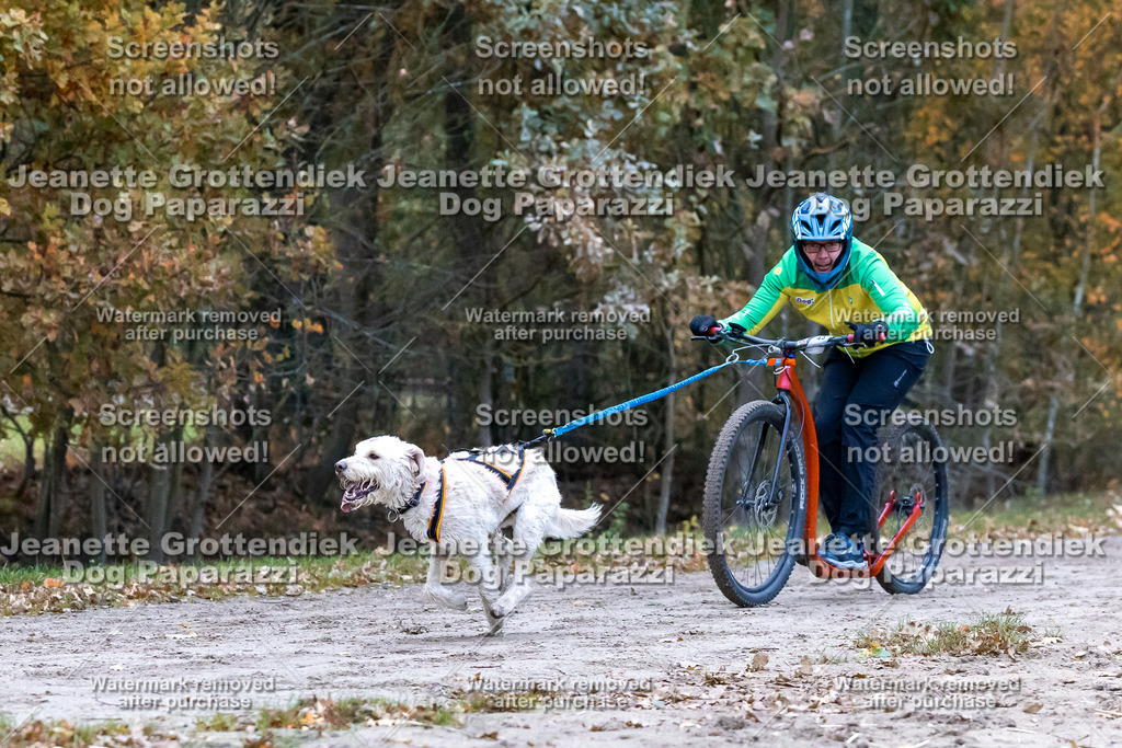 Dog Paparazzi - SD CaniX Championship 2025-176 | Dog Paparazzi Jeanette Grottendiek Fotografie & Videografie - Realisiert mit Pictrs.com