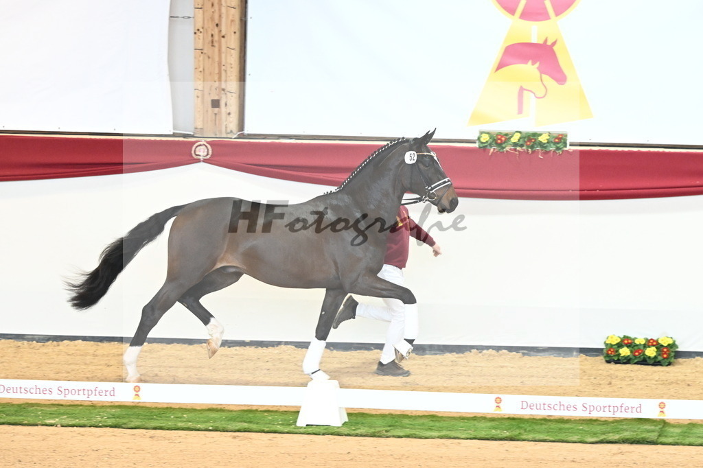 Kat.-Nr. 52 v. Friedrich der Große_Fischer_2240613 | hf-fotografie - Realisiert mit Pictrs.com