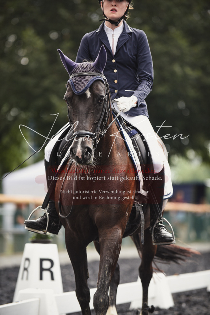DSC_3932 | Pferde- und Turnierfotografie in Westsachsen. Pferdeportraits, Auftragszeichnungen und intuitive Kunst.