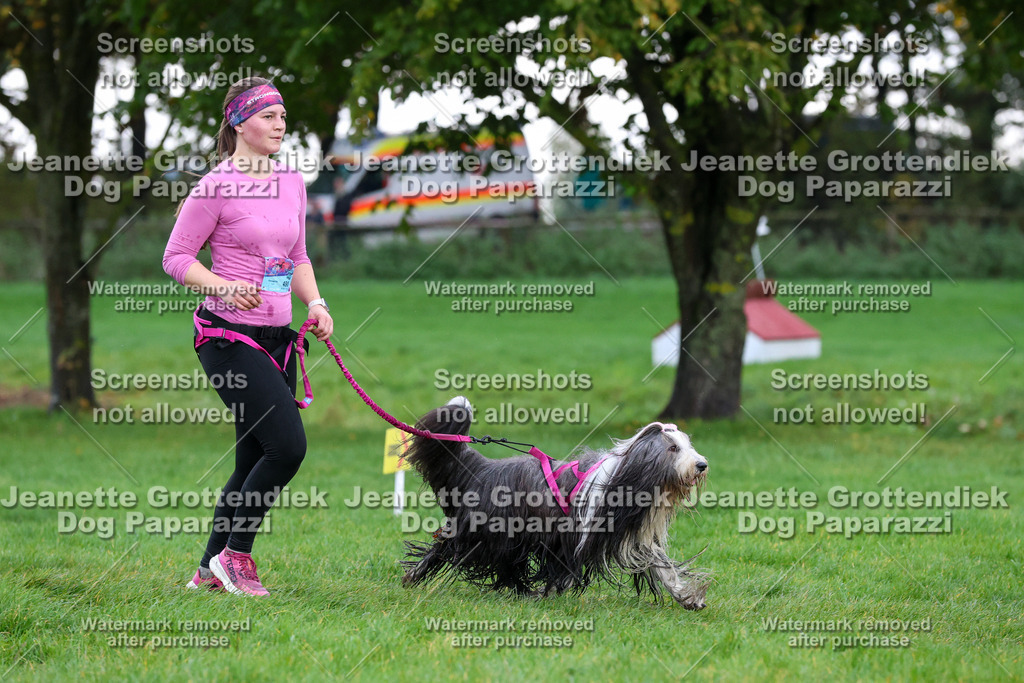 Dog Paparazzi -  SD1026-2024 | Dog Paparazzi Jeanette Grottendiek Fotografie & Videografie - Realisiert mit Pictrs.com