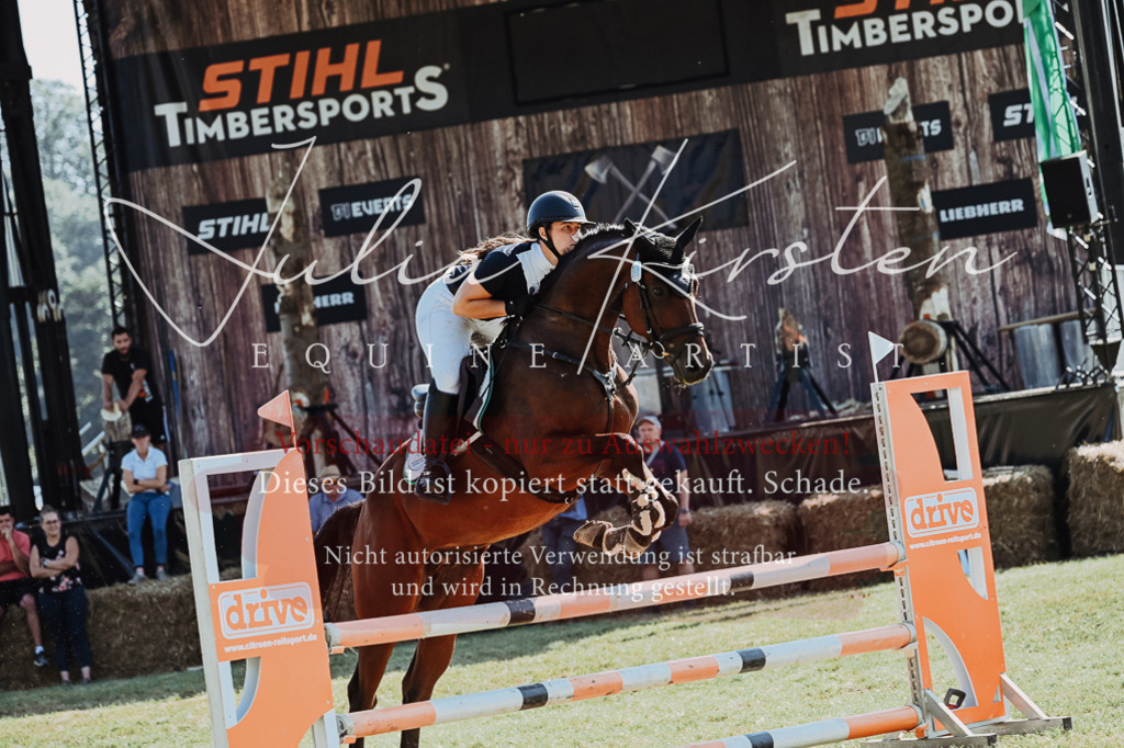DSC_5711 | Pferde- und Turnierfotografie in Westsachsen. Pferdeportraits, Auftragszeichnungen und intuitive Kunst.