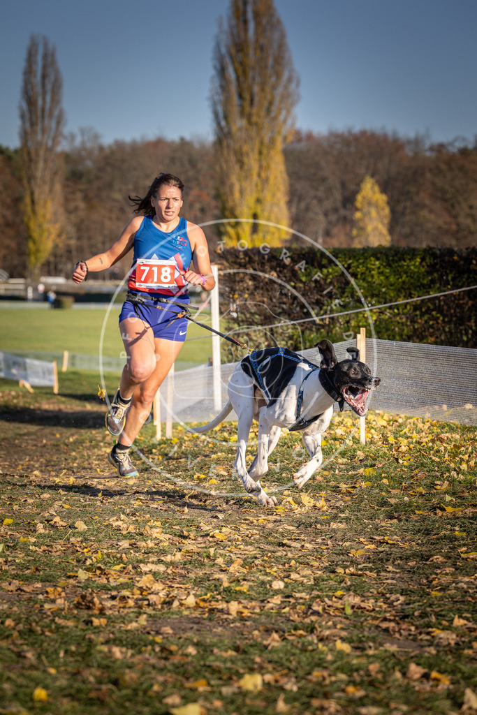 CaniXpix_DV3A1791 | Hundefotografie, Tierfotograf, Pfotenfotografie, Fotoshooting Hund, Hunde Portrait, Hundesport, Hundeportraits, Heideshooting, Hunde, Sportfotograf, Hundefotograf, Turnierhundsport, THS,  - Realisiert mit Pictrs.com