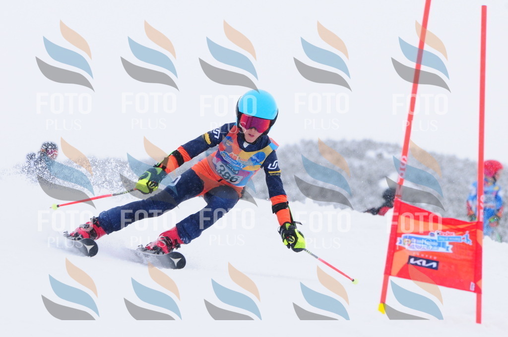 C4099 | holidayphoto