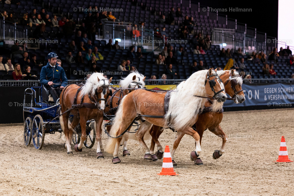 TH_Claus Luber_ Fahrsport_6021 | EQUITANA Essen 2023 am 14.03.23 in Essen, Thomas Hellmann, Claus Luber, Fahrsport