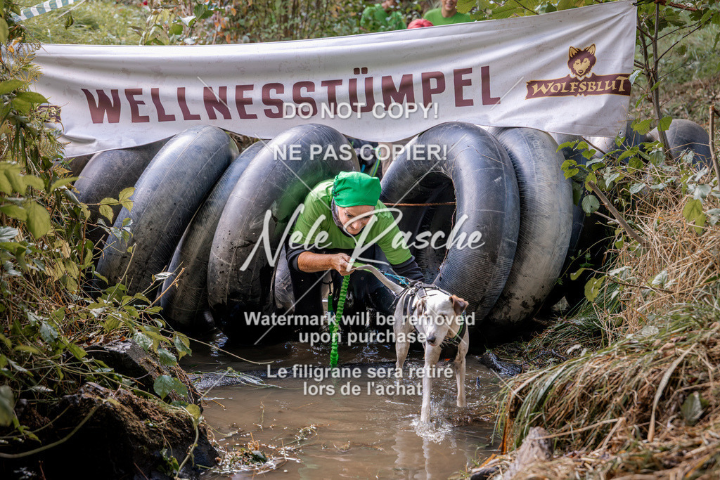 nelerasche_Hunsrück2026_Sa1400-1500_45 | nelerasche